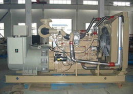 泰州市蘇北發(fā)電機(jī)廠 專業(yè)制造康明斯發(fā)電機(jī)組，引領(lǐng)節(jié)能電力新紀(jì)元